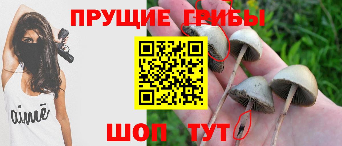 Галлюциногенные грибы GOLDEN TEACHER Можга