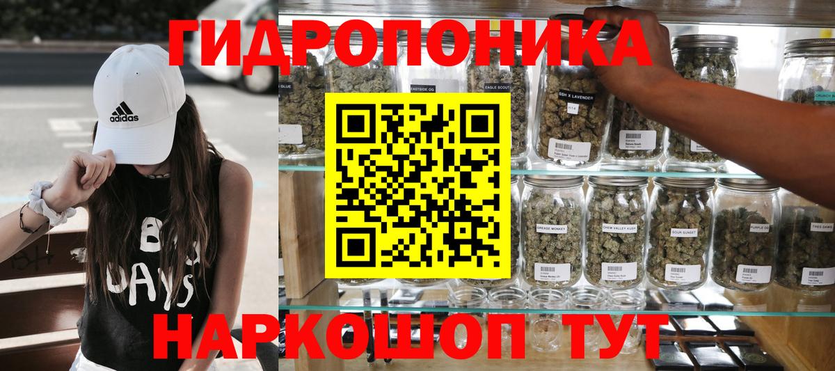 МАРИХУАНА сатива Можга